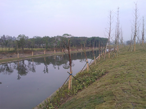 寧波市鄞州區(qū)姜山鎮(zhèn)宏洲村河道整治工程