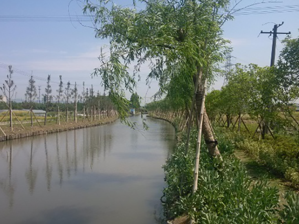 鎮(zhèn)海區(qū)九龍湖鎮(zhèn)廟根港河治理工程